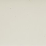 white swatch  