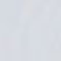 white swatch  