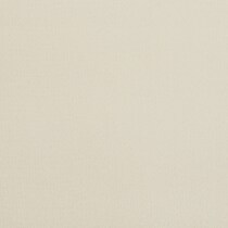 white swatch  