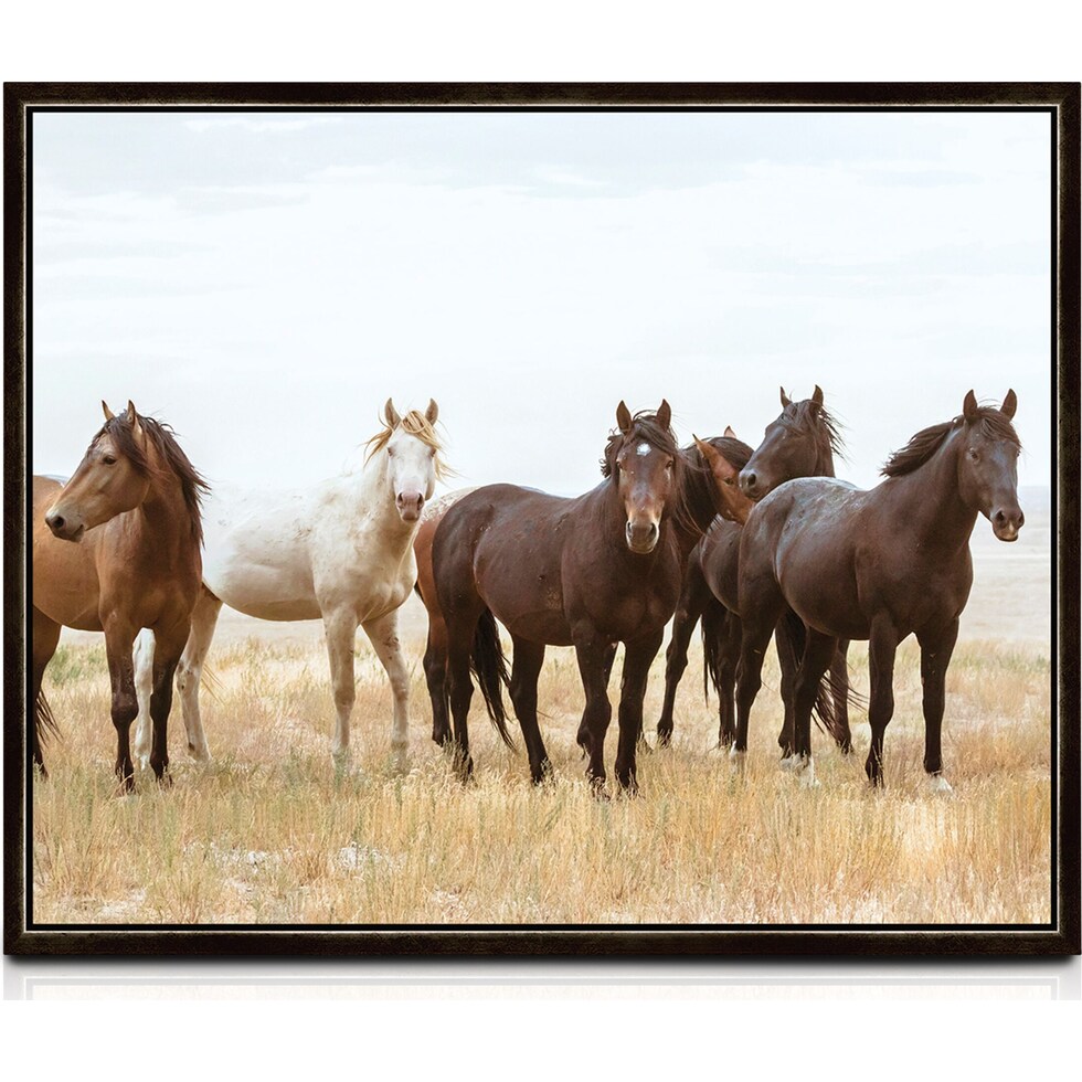 wild horse multicolor wall art   