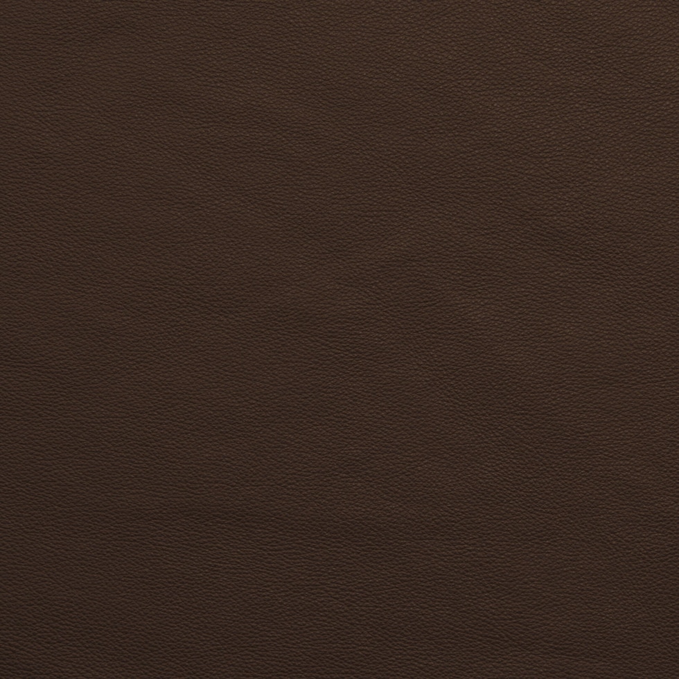 winston dark brown sectional   